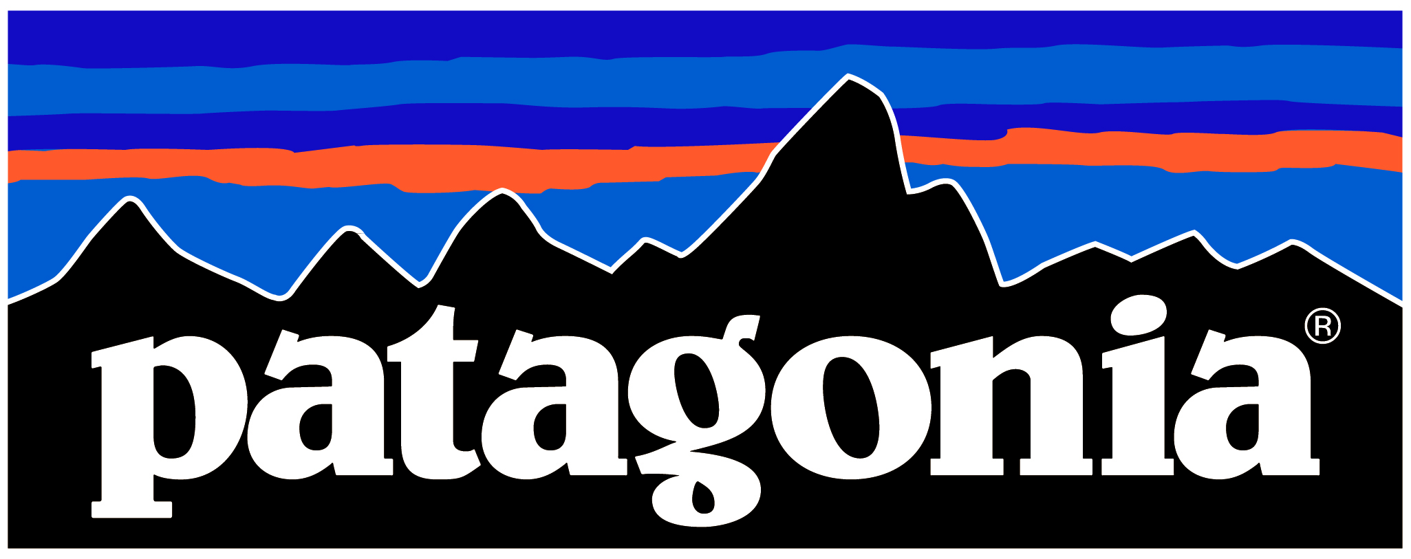 patagonia-logo - Boardsport SOURCE