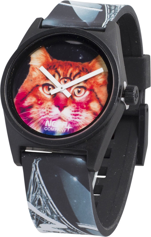 Daily Wild Watch Meow