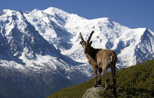 La Grave
