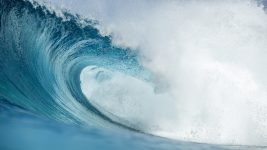 WSL HAwaii