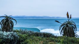 WSL 2019