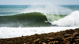 Charly1 @pedromestrephoto