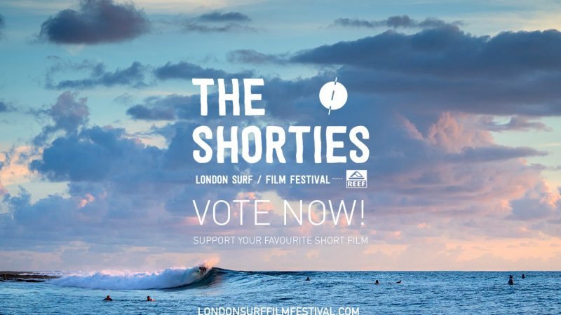 VOTENOW_3