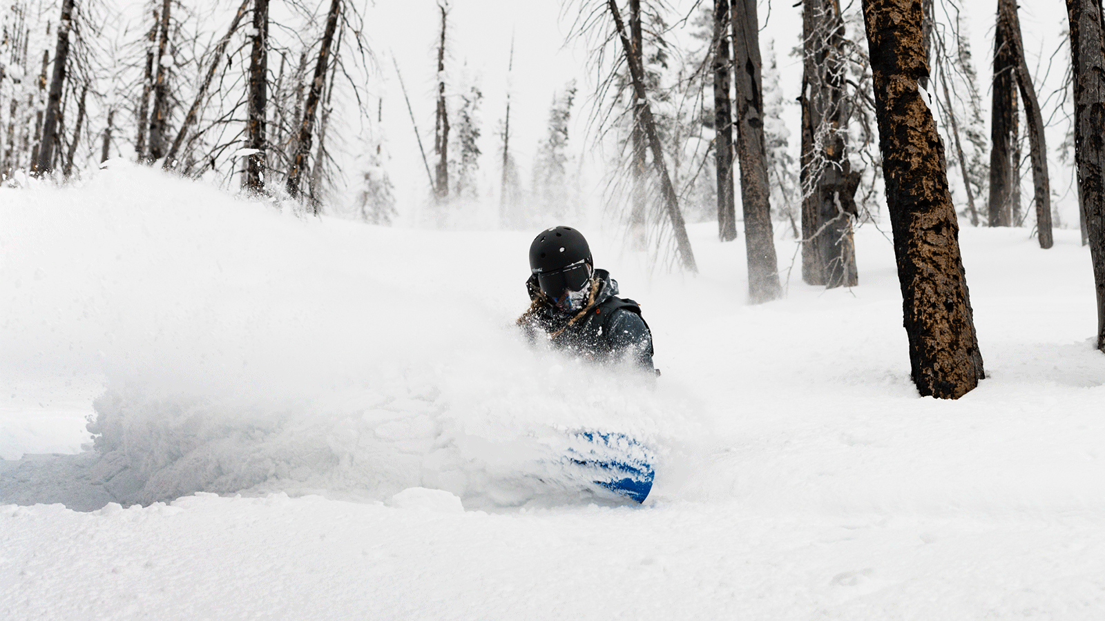 LIB TECH SNOWBOARDS