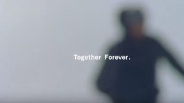 Vans Together Forever