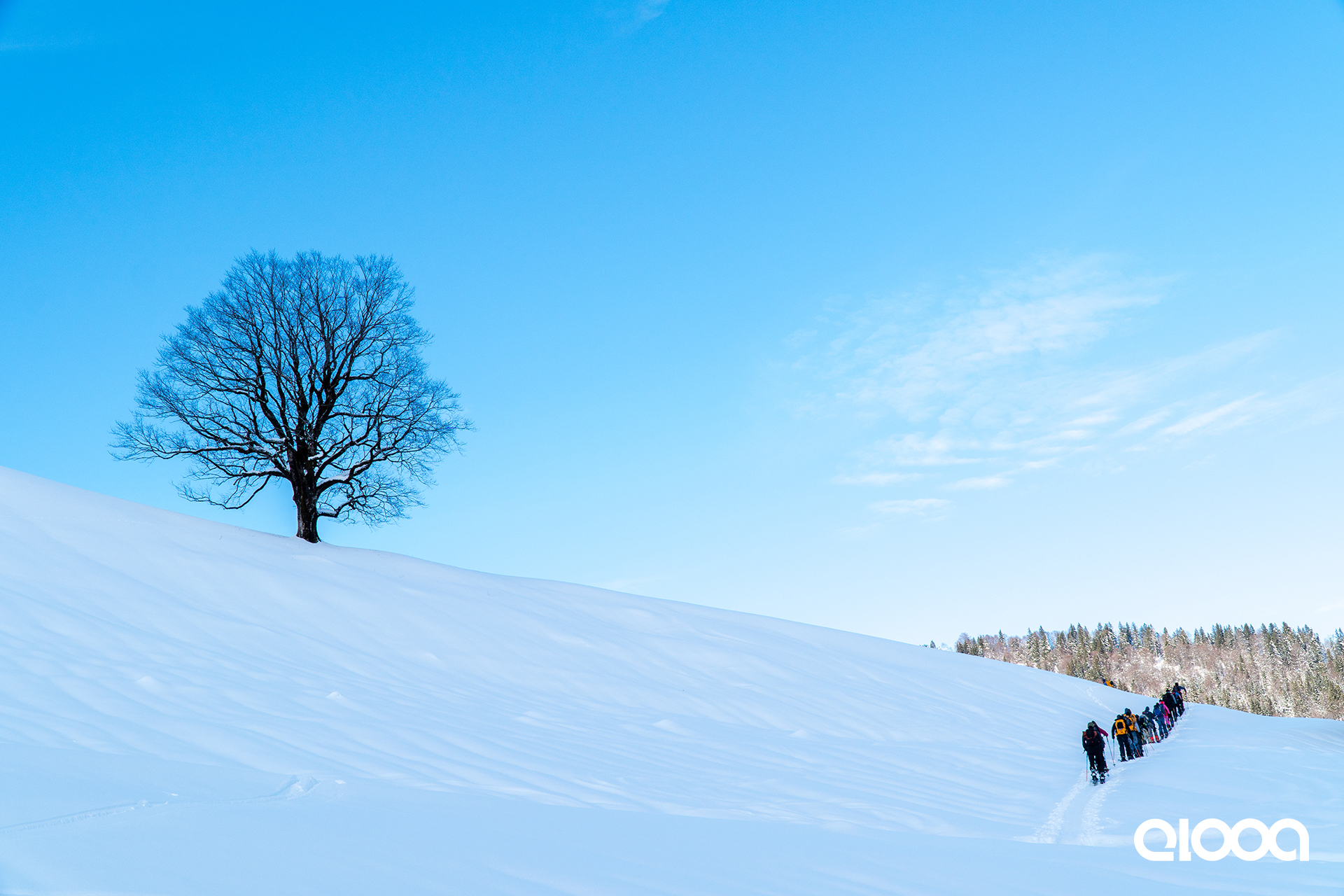 elooa_splitboard-base-camp_oberstaufen_030_loRes_Logo