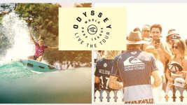 WSL VIP experiences