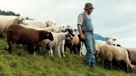 Lavalan's 2020 Eco Textiles