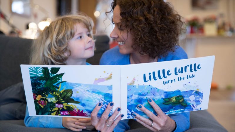 Little Turtle Turns The Tide book