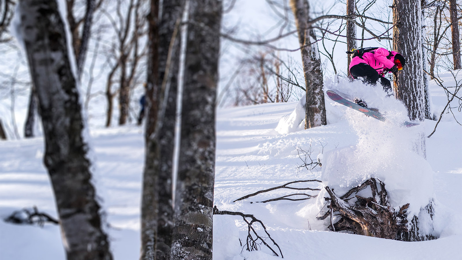 Rossignol FW20/21 Snow Helmets