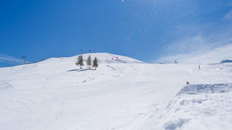 West FW20/21 Snowboard Preview