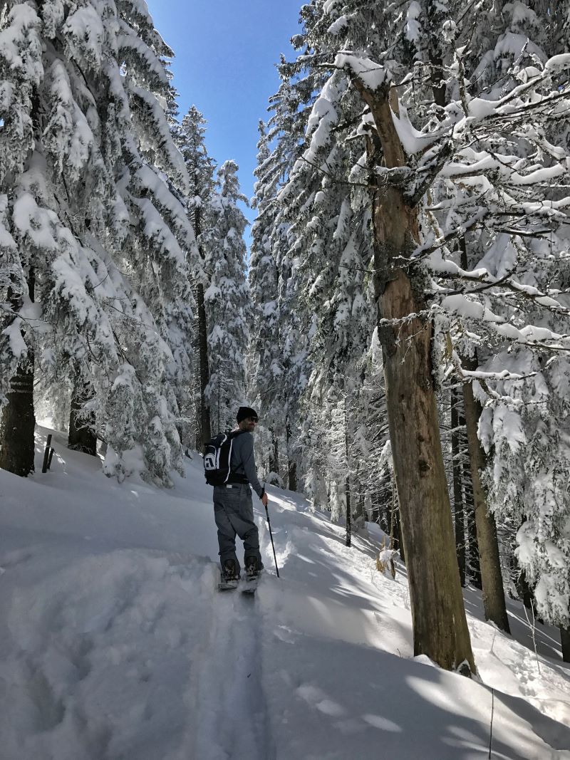 Peter Bauer skinning