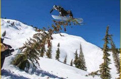 Evolution of the snowboard