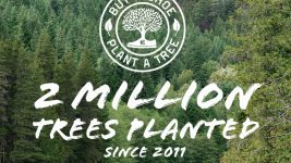 etnies 2 million trees since 2011