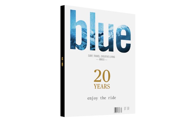 20th ed Blue yearbook