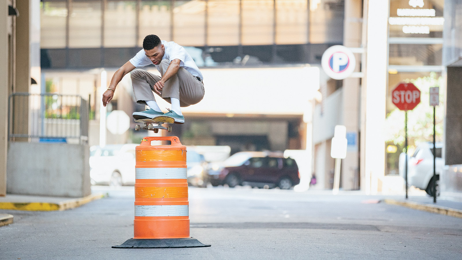 Vans SS21 Skate Shoes