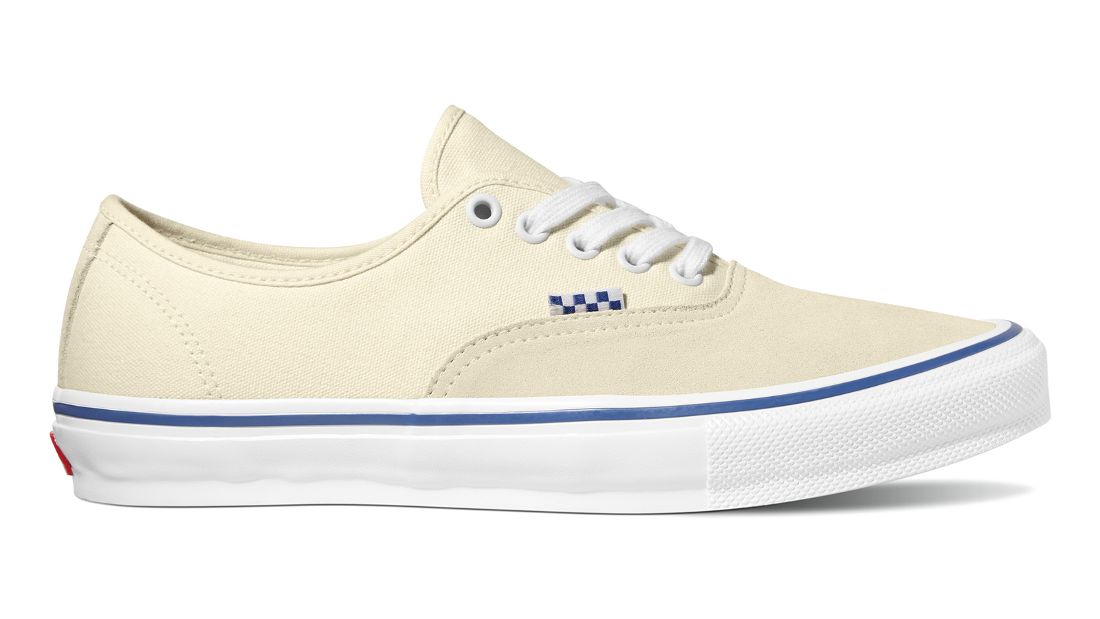 Vans SS21 Skate Shoes