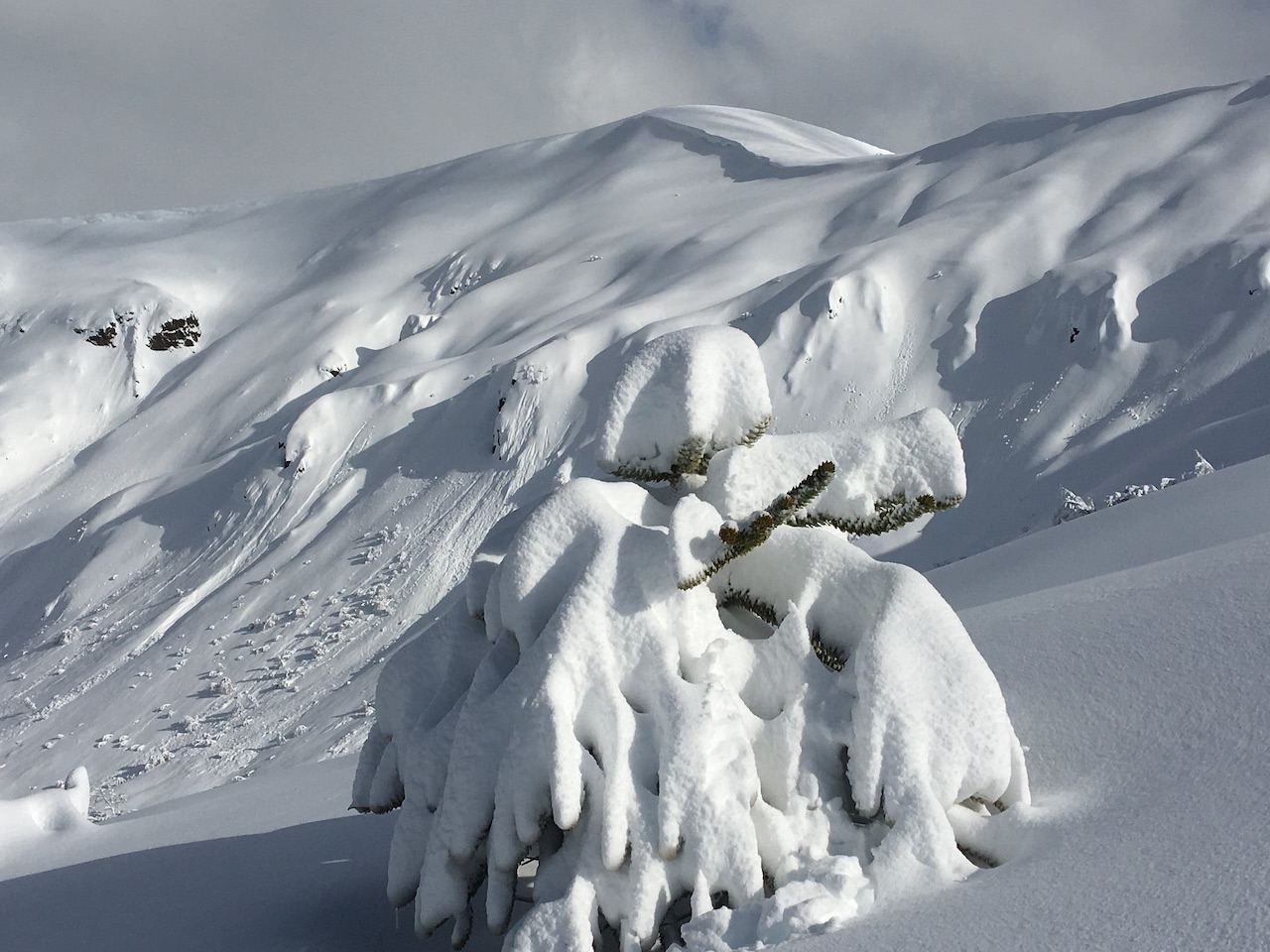 Apex Backcountry Guiding, Chile. BSS.    