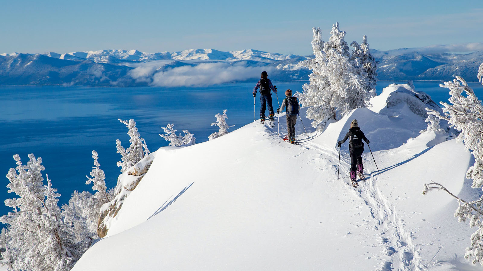 Jones 21/22 Splitboard Hardgoods Preview