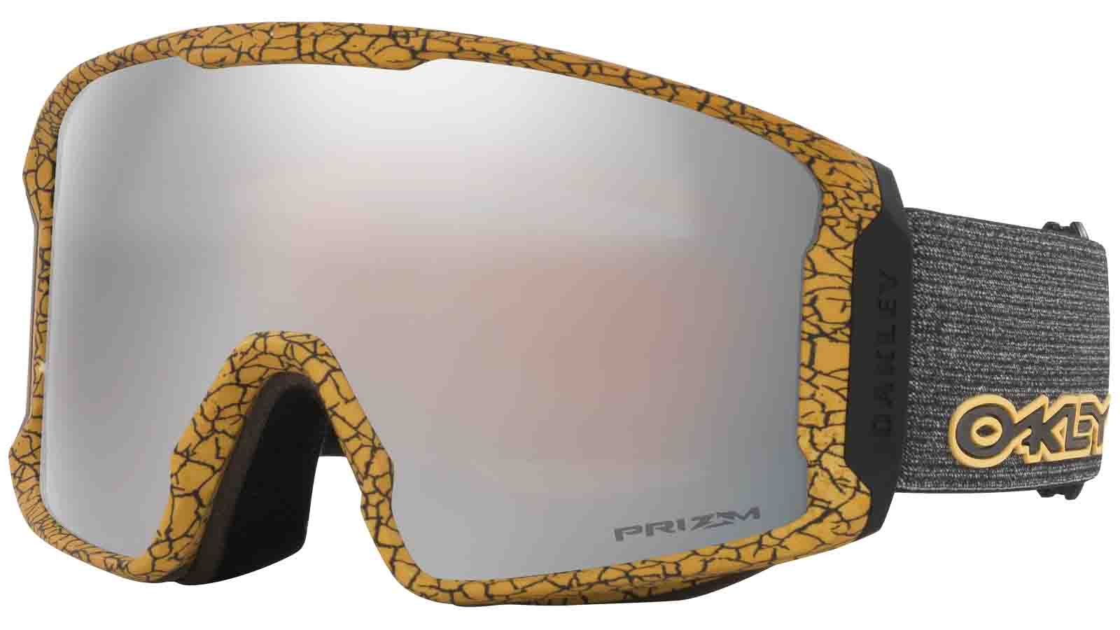 Oakley 21/22 Goggles