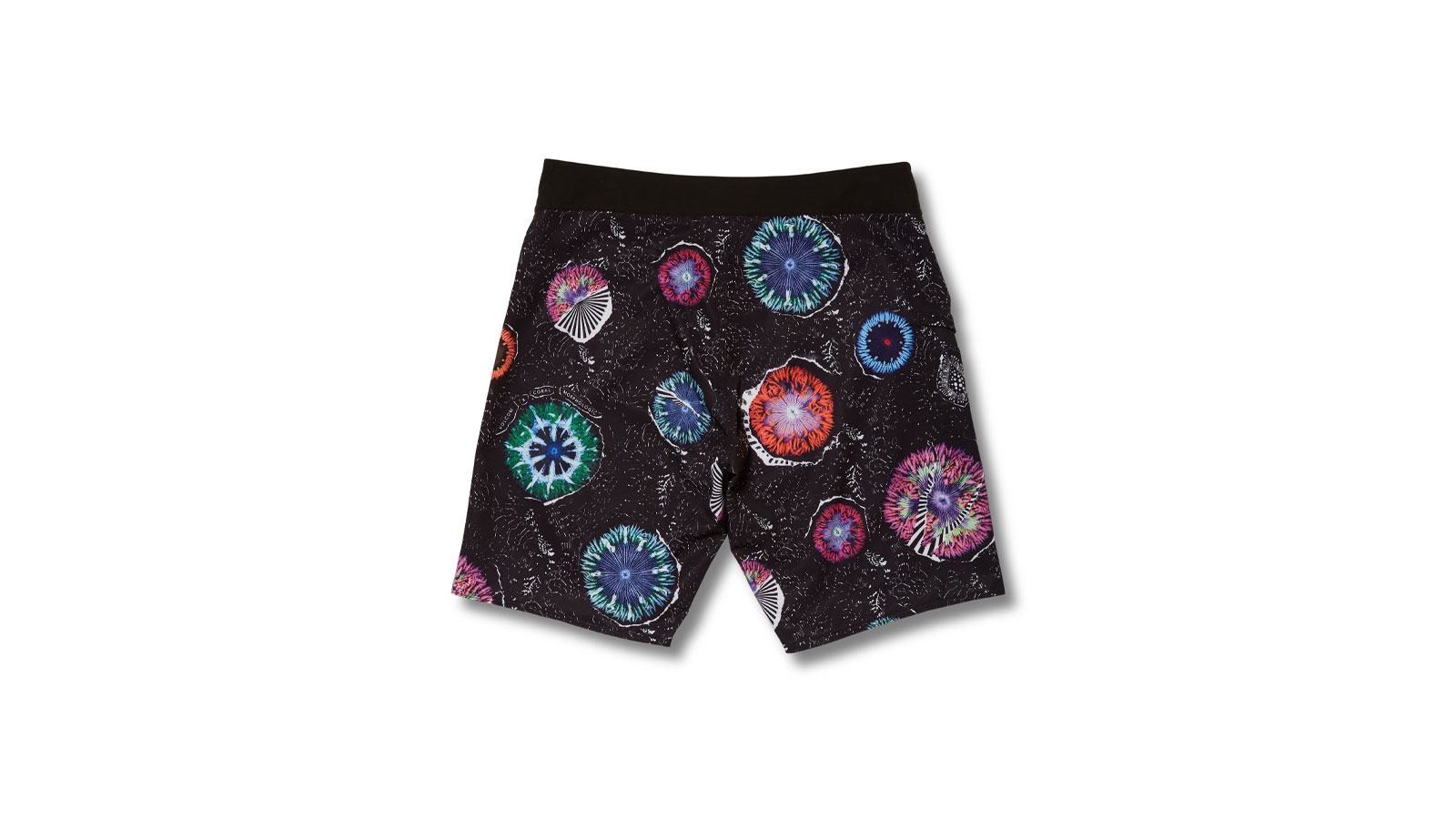 Shorts Volcom