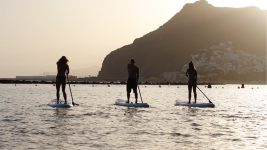 Moai S/S 2022 SUP Preview