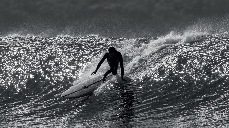 Haydenshapes S/S 22 Surfboards Preview