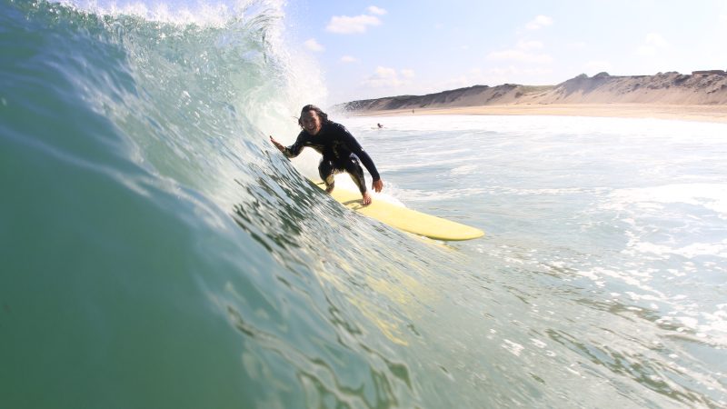 Venon S/S 22 Surfboards Preview