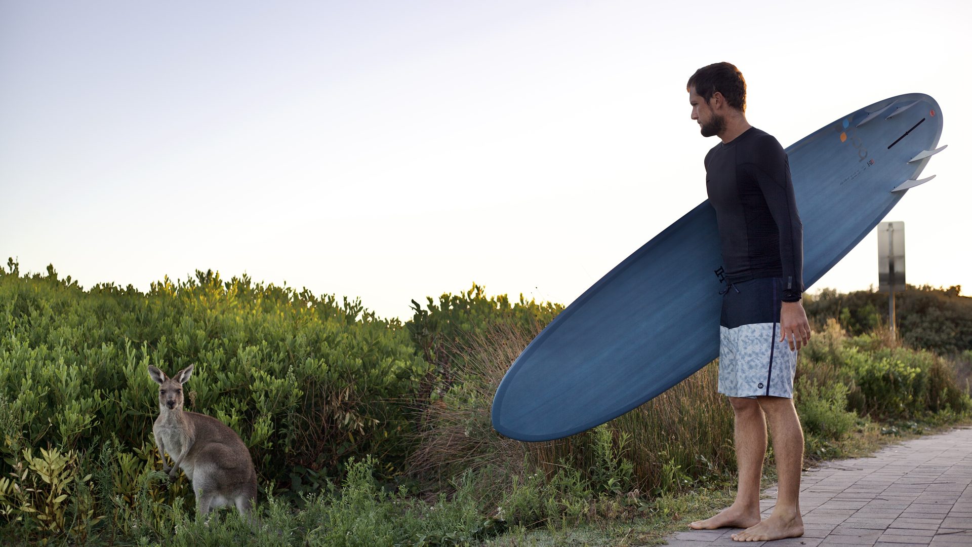 Firewire S/S 22 Surfboards Preview