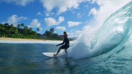 Pyzel 2023 Softboards