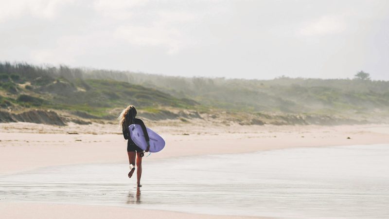 Ocean and Earth Softboards 2023 Preview