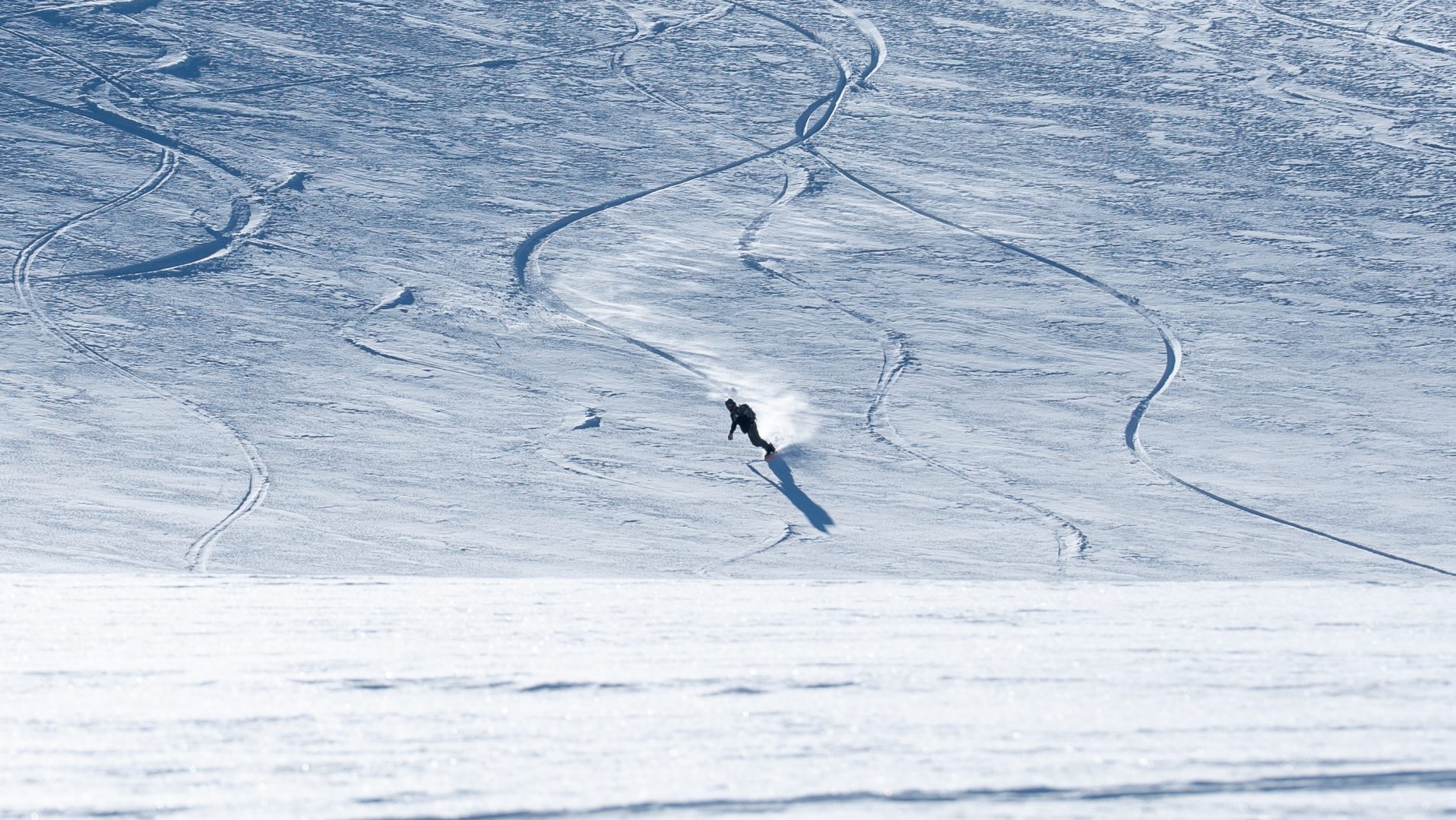 Easy Snowboards 2023/24 Snowboards Preview