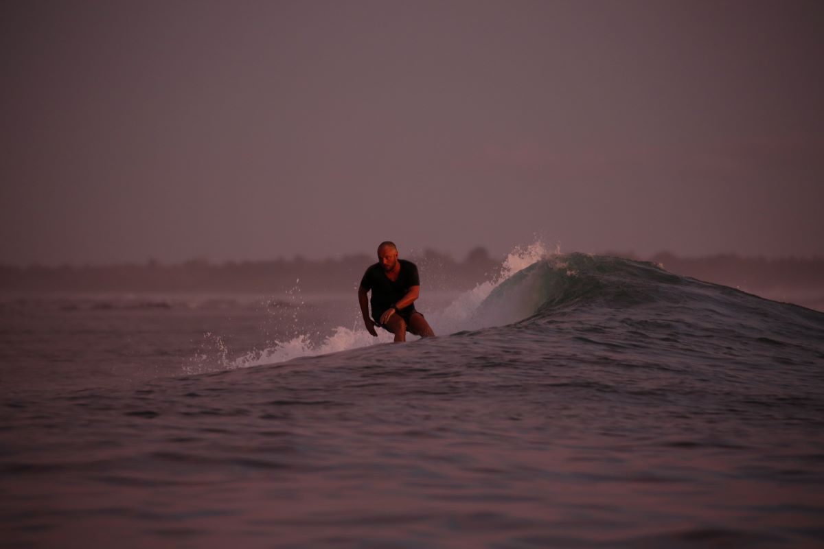 Big Wig Wilco: Surf action