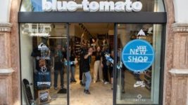 blue tomato