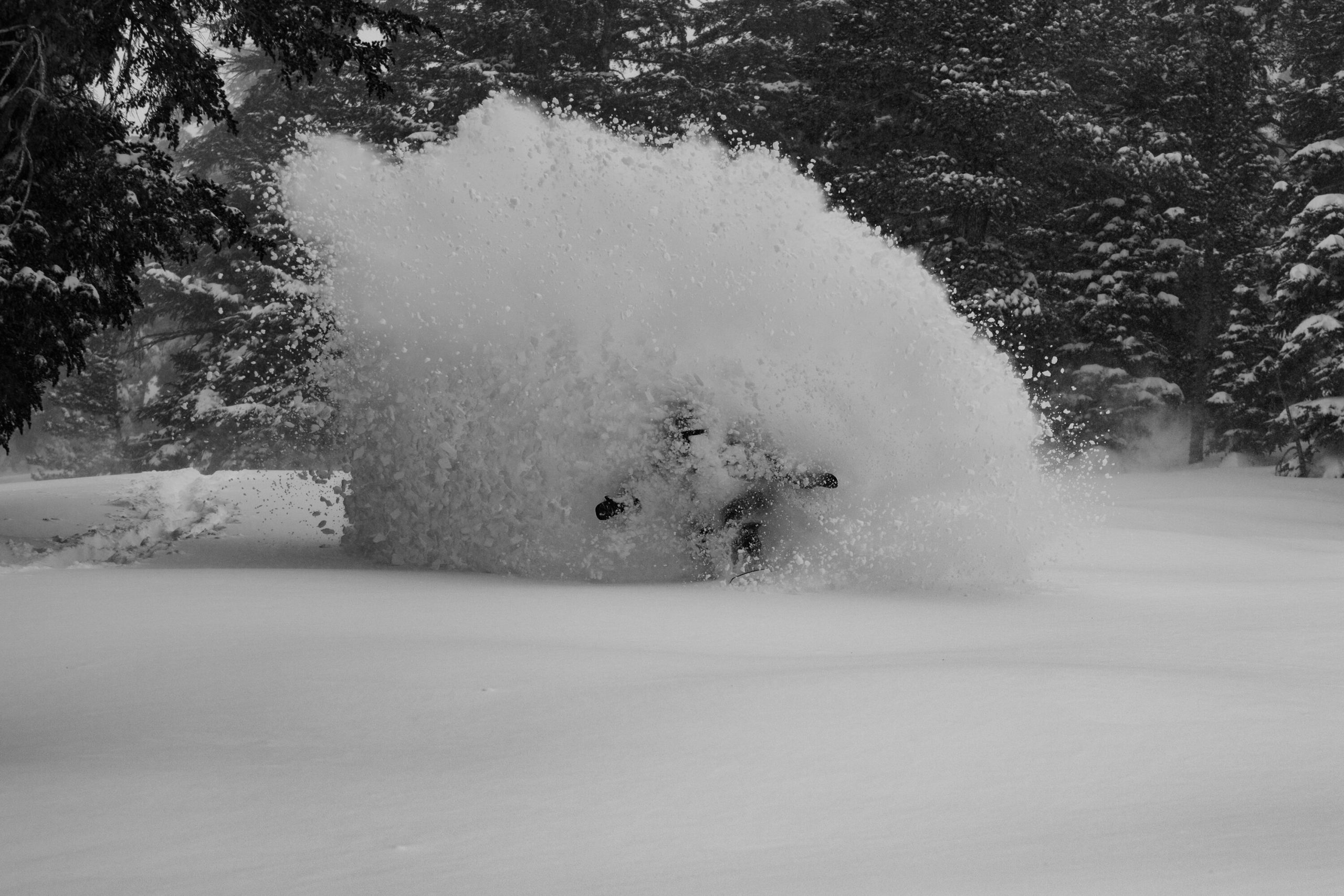 Jones Snowboards 2024/25 Preview - Boardsport SOURCE