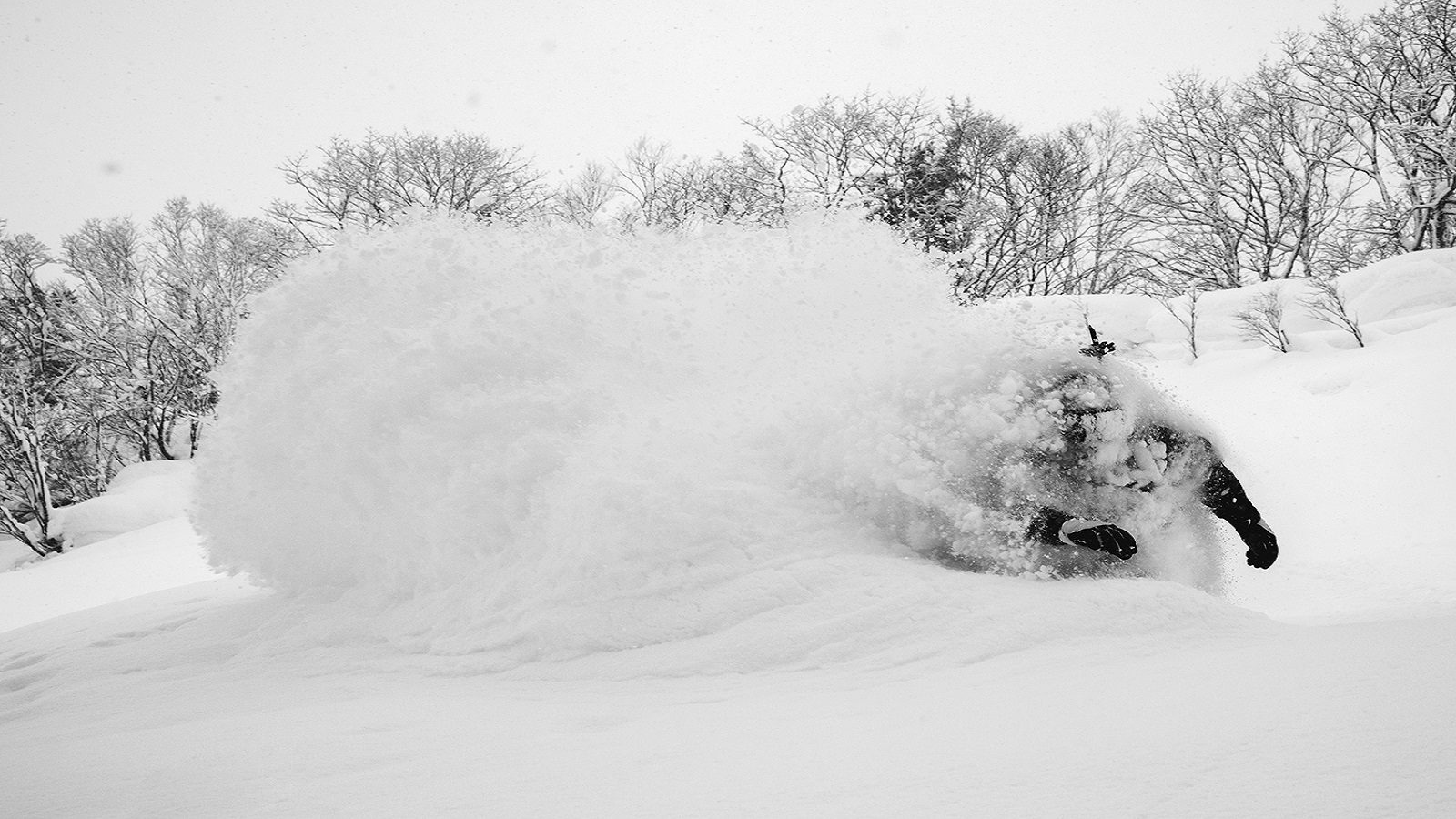 2023 0329 DSC 5872 KORUA Shapes Japan 2023 PhotoAaronSchwartz LowRes