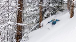 _M3A6839_rossignol_FREE_louisgarnierphoto_hd