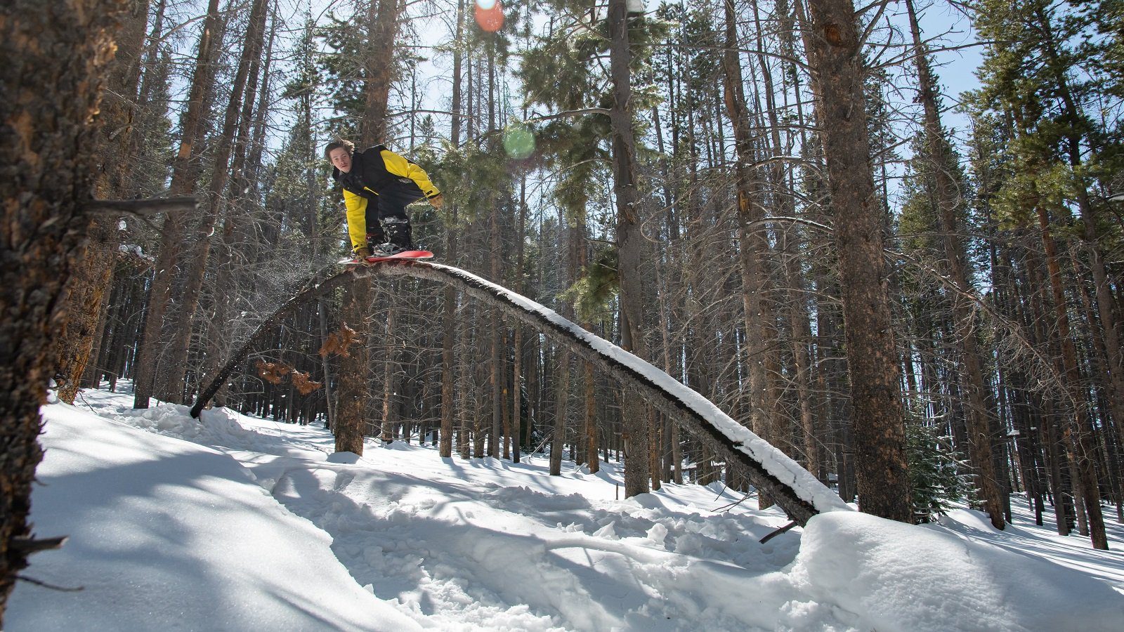BrendonGlenwright Logger19 20 Westvail18