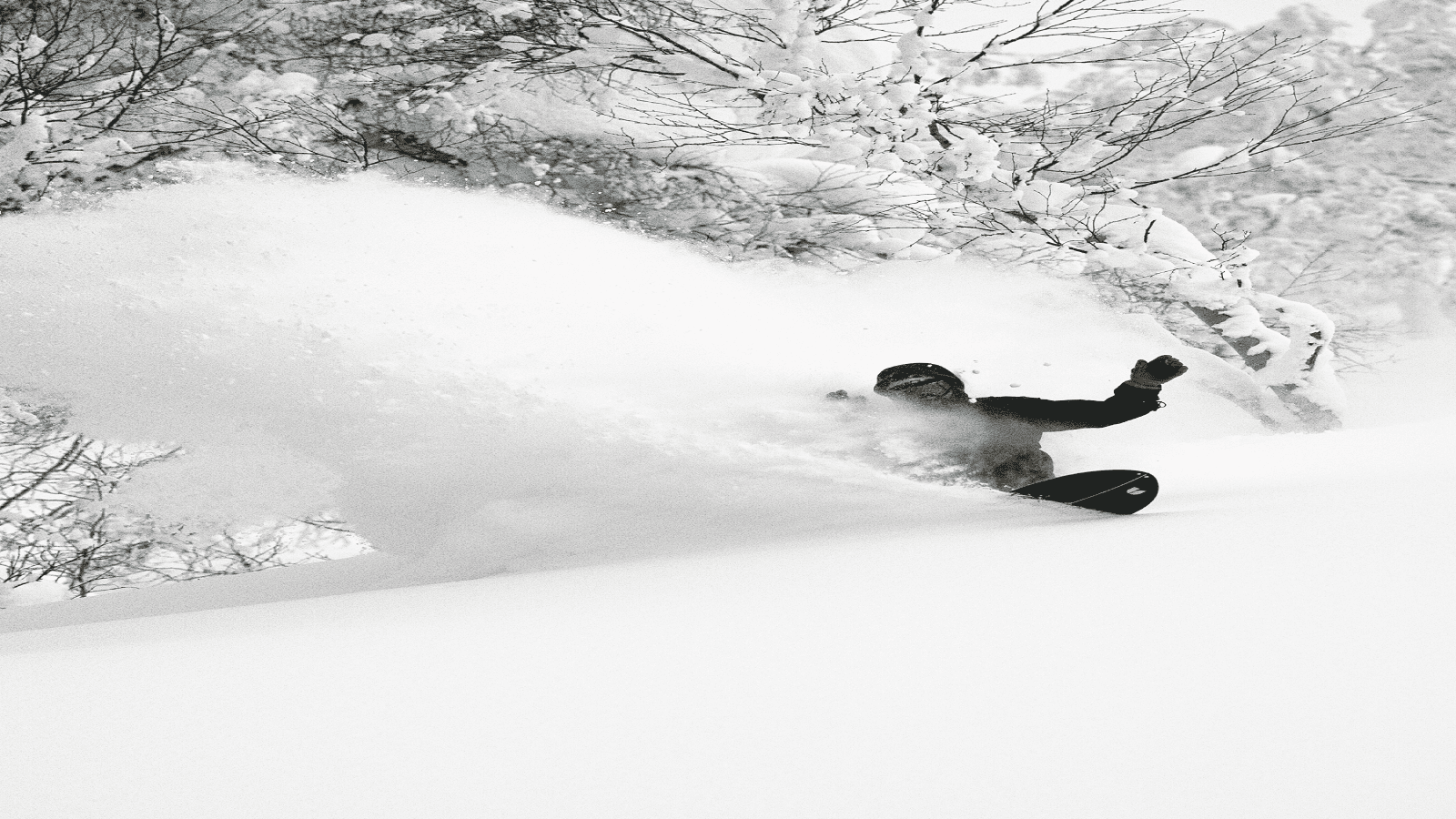 UtdS CovertSplit GrayThompson ©FrediKalbermatten