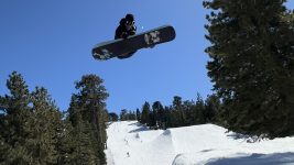 Photo4