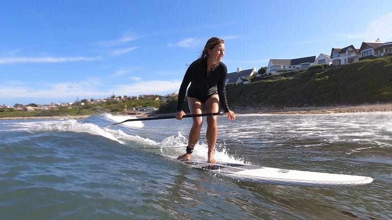 Pintail-800x450