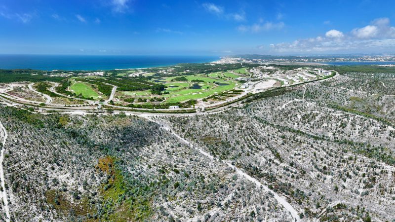 1. Credit_Surfers Cove_Óbidos_Portugal