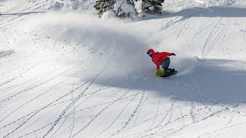 Jones womens outerwear