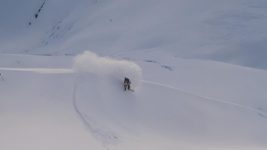 Roald spray
