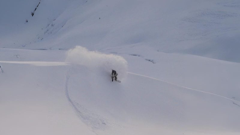 Roald-spray-800x450