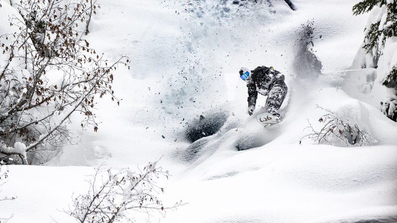 pemb_ejackson-800x450