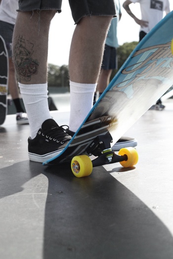 Z-FLEX SKATEBOARDS to release much anticipated update to animal series - Boardsport SOURCE Z-FLEX SKATEBOARDS to release much anticipated update to animal series - Boardsport SOURCE
